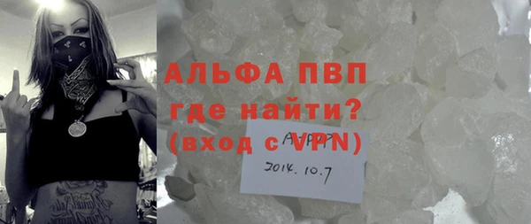 молекула духа Бородино