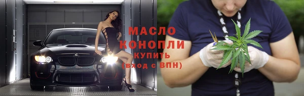 молекула духа Бородино