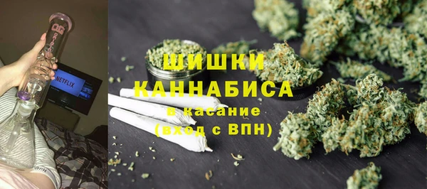 молекула духа Бородино