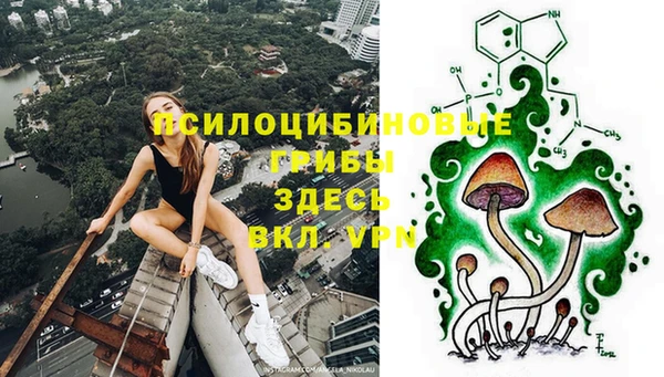 прущие крисы Бугульма