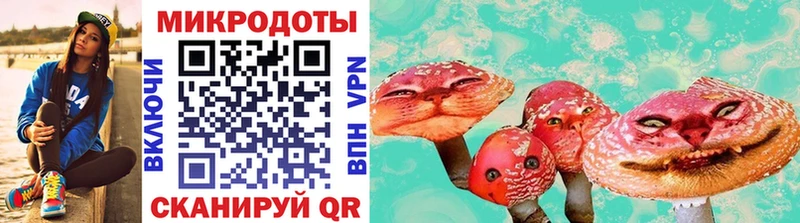 Купить где Олонец Псилоцибиновые грибы GOLDEN TEACHER